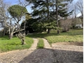 Photo numero 46847638 du bien UBI466179599
